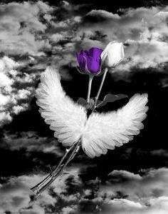 Image for the poem His Gracious Words
