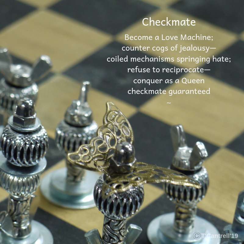 Visual Poem Checkmate 