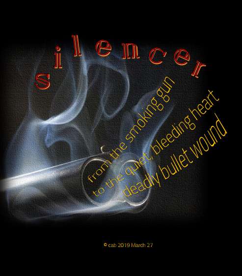 Visual Poem silencer