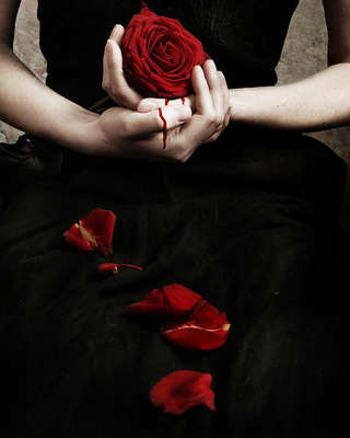 Image for the poem Rose