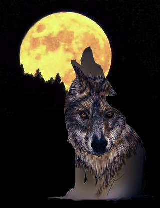 Image for the poem Howling At The Moon