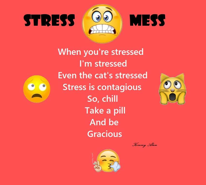 STRESS MESS
