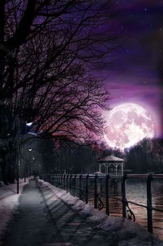 Image for the poem MOONLIGHT RAISING