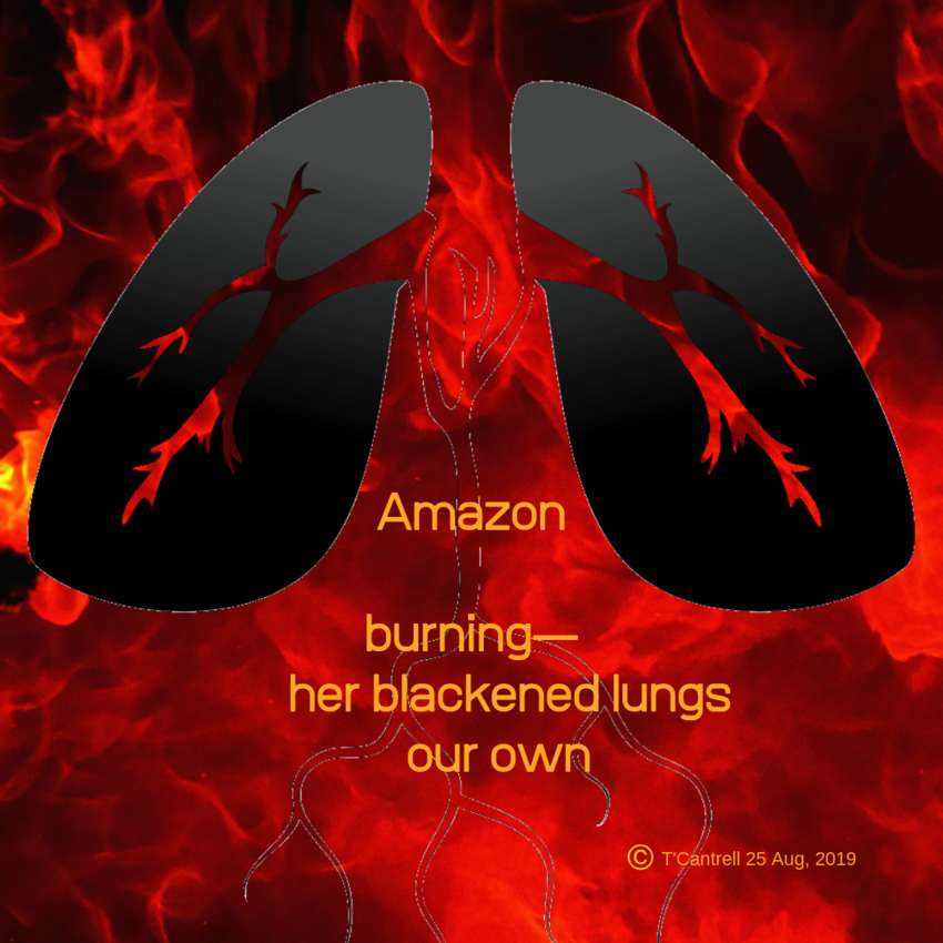 Visual Poem Amazon 