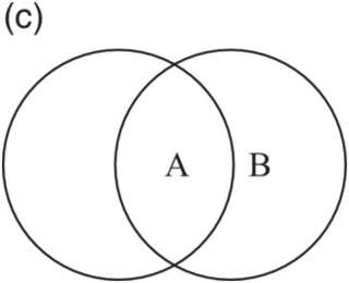 Image for the poem Circle saw logic