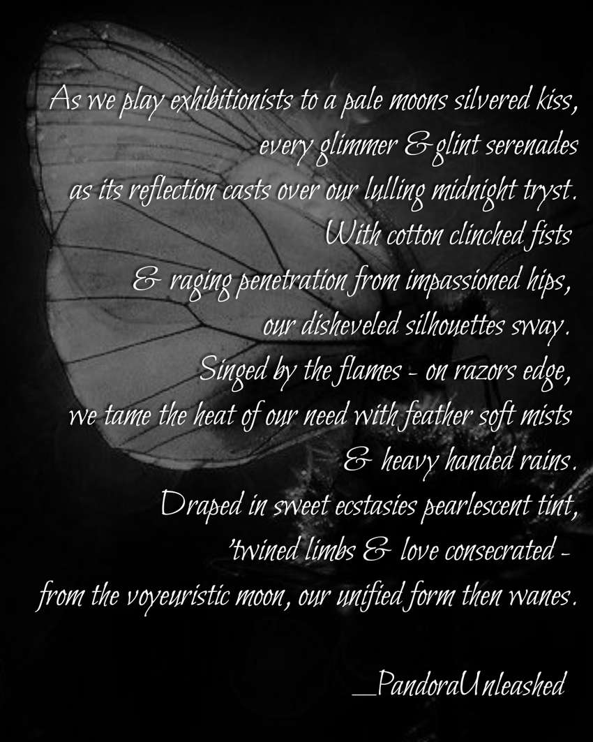 Visual Poem Midnight Moths