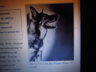 Image for the poem Summoning the Spirit of Rin-Tin-Tin