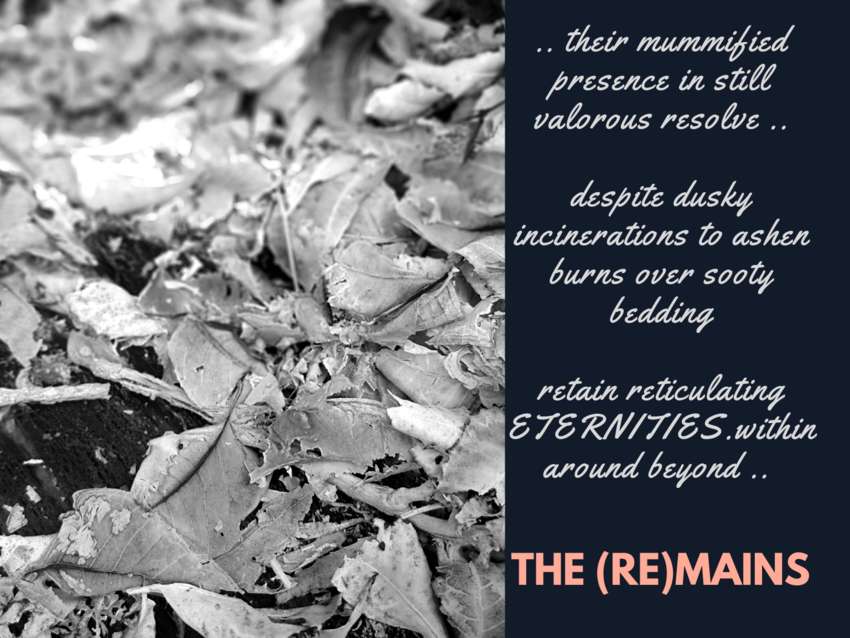 Visual Poem the reMAINs