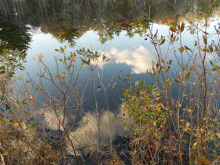 Image for the poem Reflections (Sky In The Water)