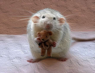 Image for the poem Chris My Cute Wee Mouse