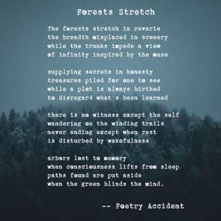 Image for the poem Forests Stretch