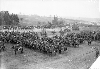 Image for the poem War Horse