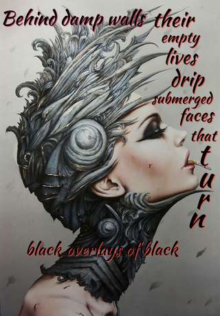 Image for the poem Black Ov3erlays Black