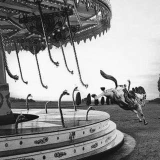 Image for the poem Eye call her Merry Mary Go Round...