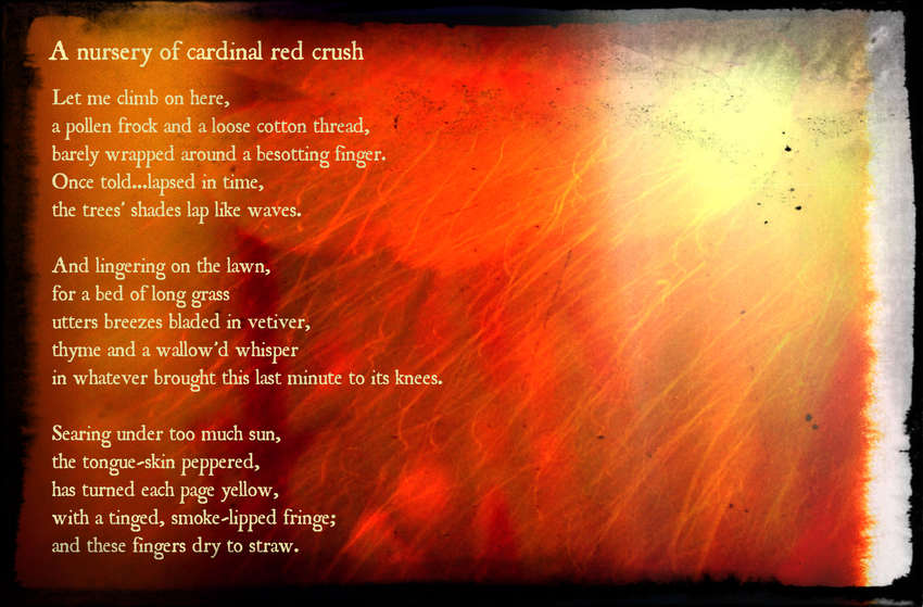 Visual Poem A nursery of cardinal red crush.