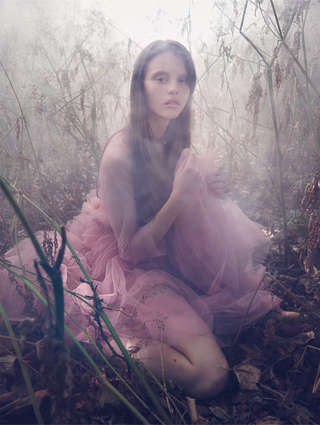 Image for the poem pink lucidity 