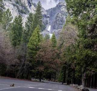 Image for the poem Yosemite With No One There