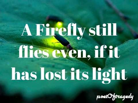 Visual Poem Firefly fire 