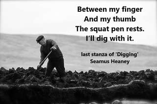 Image for the poem DIGGING TIDES