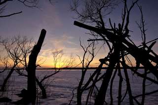 Image for the poem broken tree >> on river bend