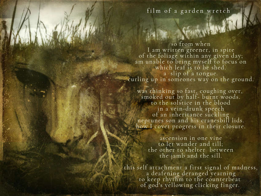 Visual Poem film of a garden wretch
