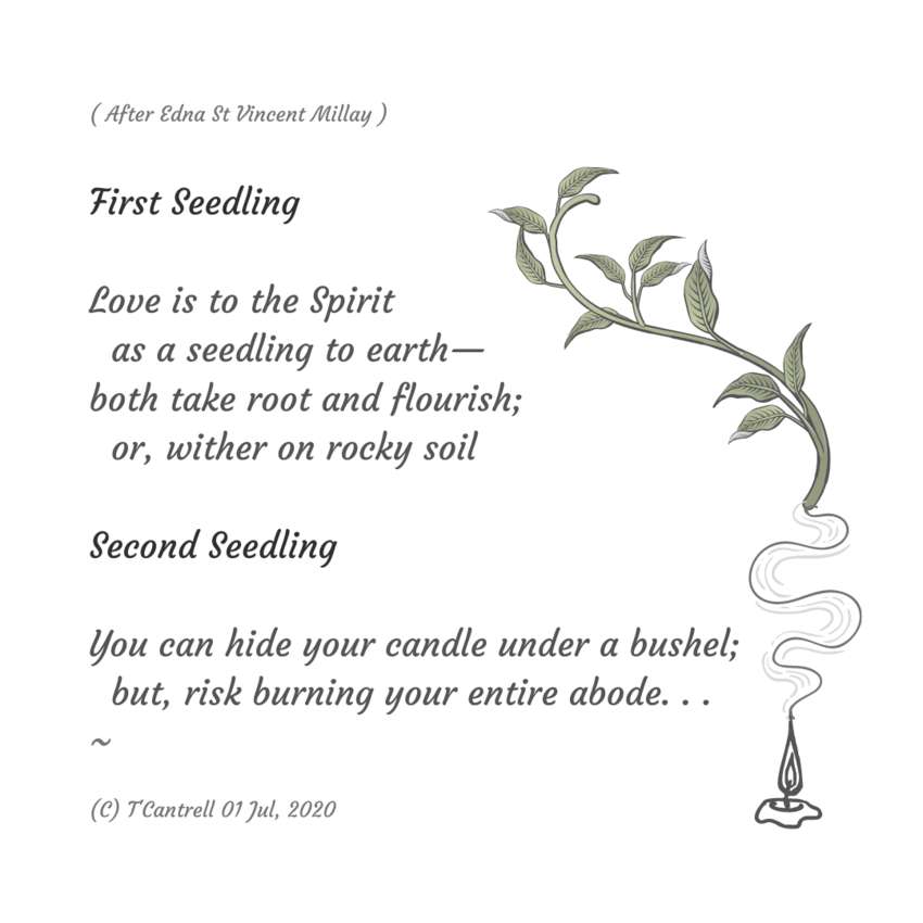 Visual Poem Seedlings 