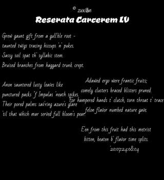 Image for the poem Reserata Carcerem LV