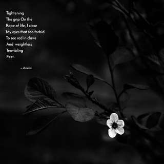dark poems about life