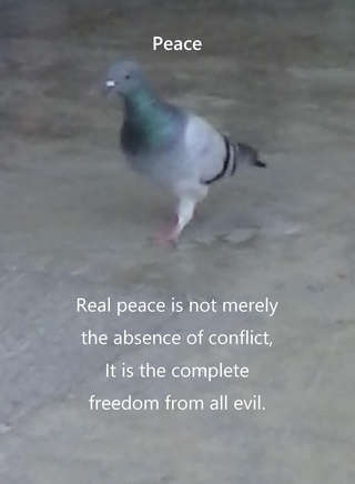 Image for the poem Peace