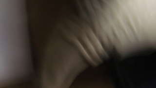 Image for the poem Die Free / for A Limited Time only /
