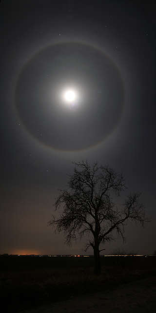 Image for the poem bright shine, rubescent starkiss