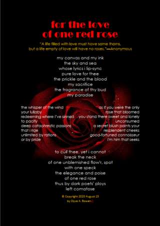 Image for the poem for the love of one red rose