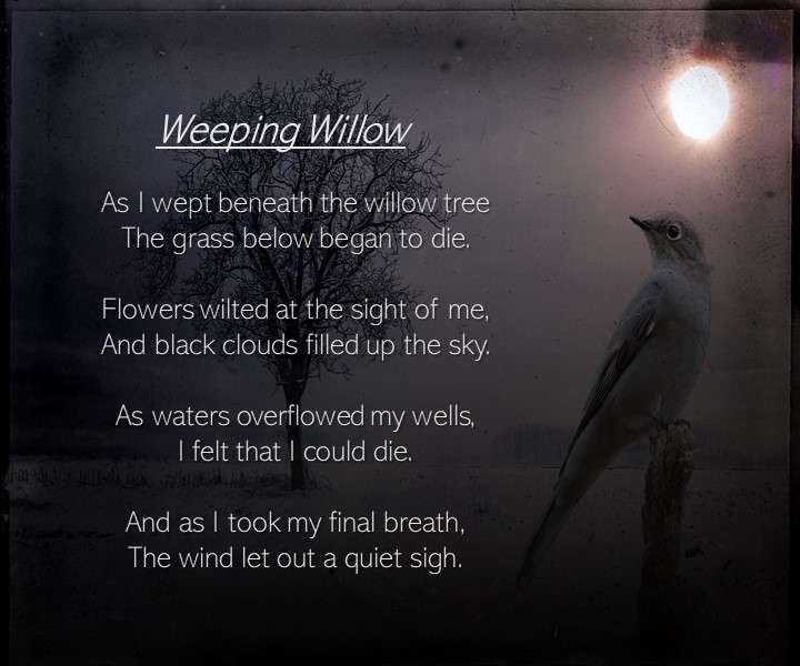 Visual Poem Weeping Willow