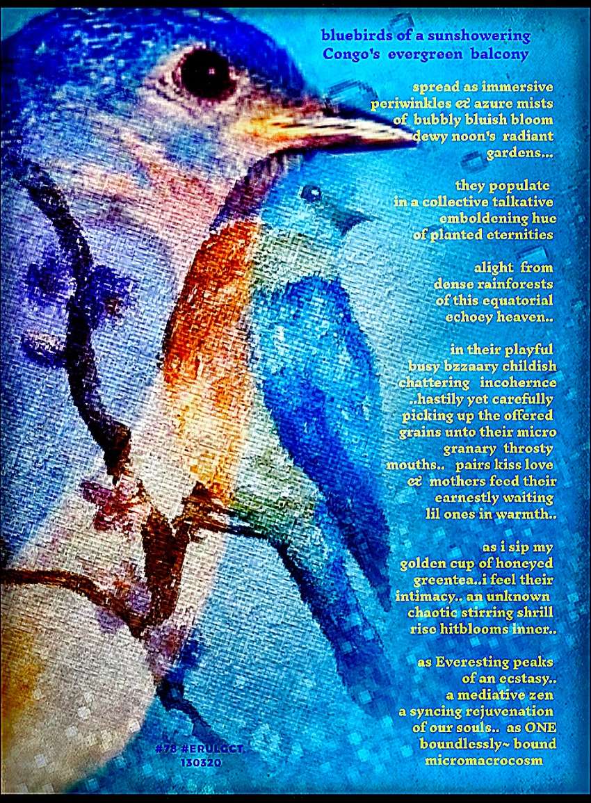 Visual Poem ~bluebirds of a sunshowering Congo