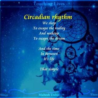 Image for the poem Circadian Rhythm