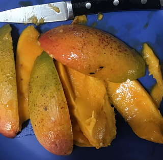 Image for the poem Mango Feast