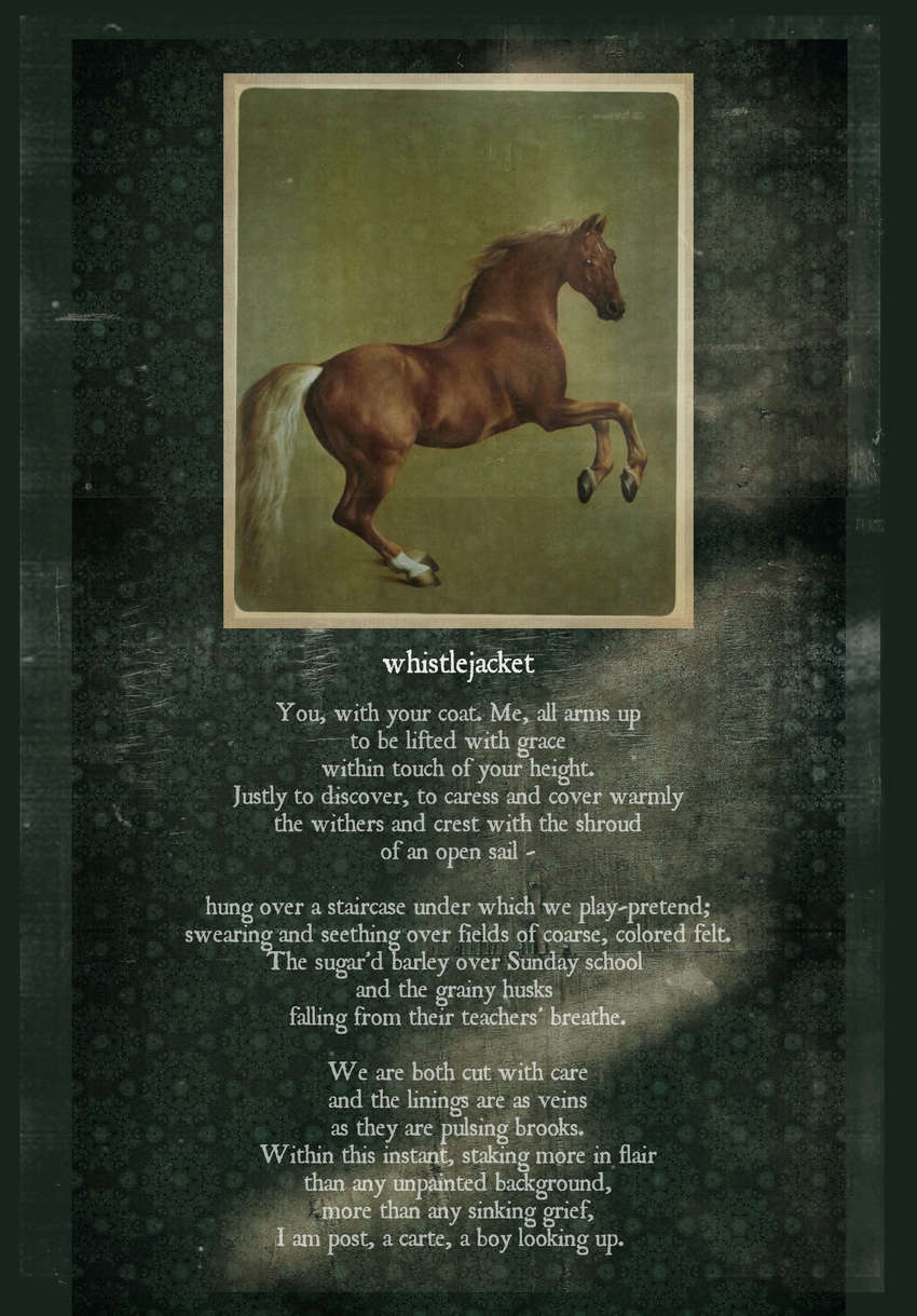 whistlejacket