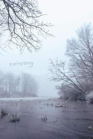 Image for the poem rainsong