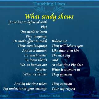 Image for the poem What Study Shows