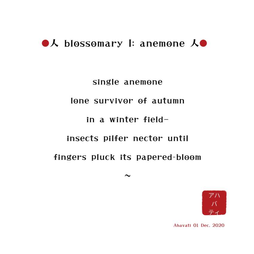 Visual Poem blossomary I: anemone  