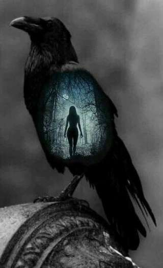 Image for the poem THE LADY WITHIN THE RAVEN