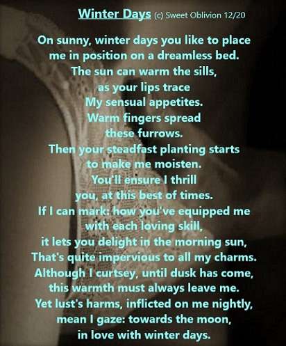 Visual Poem Sunny, Winter Days