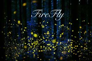 Image for the poem FireFly