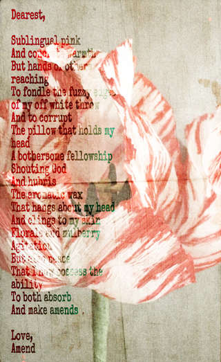 Image for the poem Living letters 