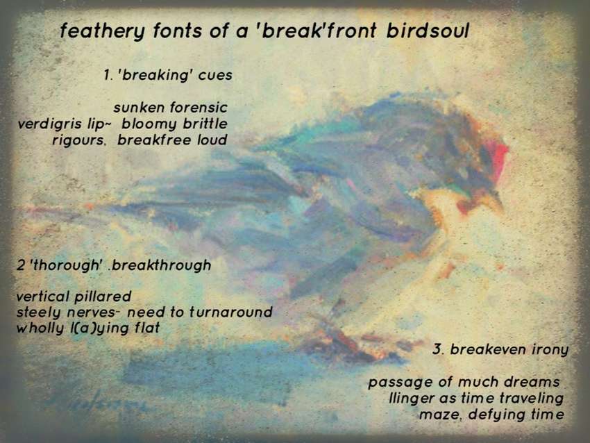 ~feathery fonts of a 'break'front birdsoul 