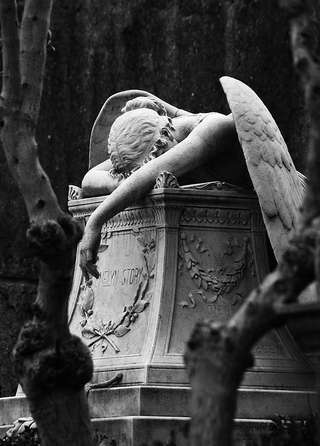 Image for the poem Dead Angel