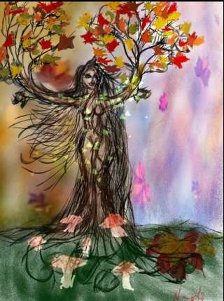 Image for the poem DIVINITY TREE