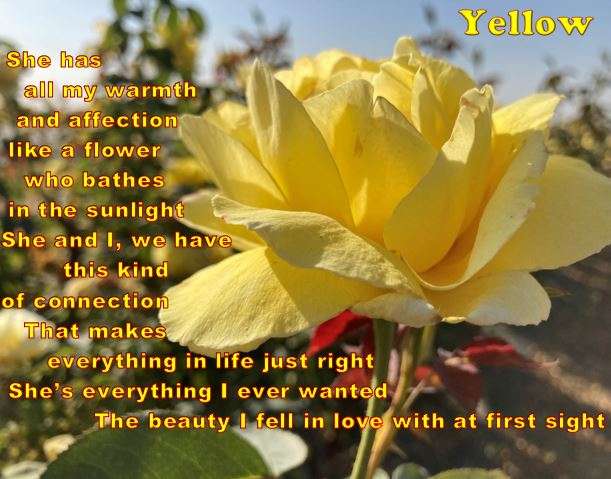 Visual Poem Yellow