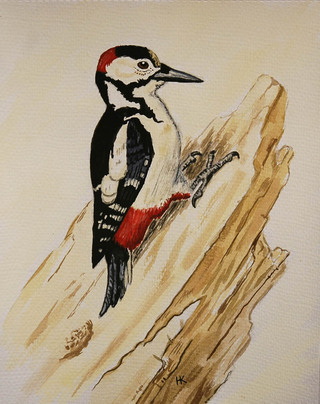 Image for the poem Winter woodpecker