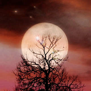 Image for the poem Hunger Moon Breathing